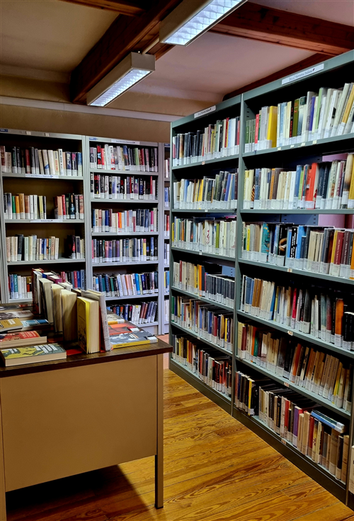 Biblioteca comunale - Novità